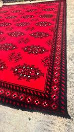 Afghan - Vloerkleed - 340 cm - 280 cm - Handgeknoopt Bokhara, Nieuw