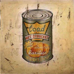 cd - Toad The Wet Sprocket - In Light Syrup, Cd's en Dvd's, Cd's | Overige Cd's, Zo goed als nieuw, Verzenden