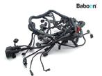 Kabelboom Triumph Tiger 1200 Explorer XC 2013-2017, Verzenden, Gebruikt