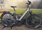 Falter E 6.0 500 – Nieuwe electrische fiets met Bosch Motor, Overige merken, Nieuw, Ophalen of Verzenden, 51 tot 55 cm