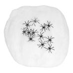 Halloween Spinnenweb Met 25 Spinnen, Hobby en Vrije tijd, Verzenden, Nieuw