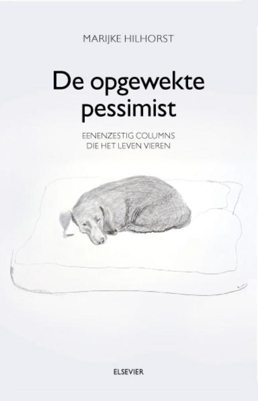 De opgewekte pessimist 9789035250505 Marijke Hilhorst, Boeken, Literatuur, Gelezen, Verzenden