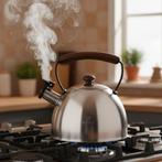 Meyerhoff RVS Fluitketel 2,5L – Geborsteld Zilver – Houten, Ophalen of Verzenden, Nieuw