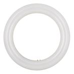 Bailey LED TL-E 11W/840 | vervangt Philips TL-E 22W/840 /..., Ophalen of Verzenden, Nieuw