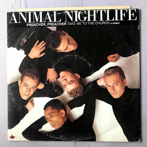 Animal Nightlife – Preacher, Preacher (12-Maxi-Single), Cd's en Dvd's, Vinyl Singles, Verzenden