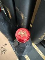 2019 Santi, Santico - Amarone della Valpolicella - 3 Flessen, Verzamelen, Wijnen, Nieuw