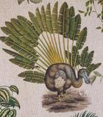 300x280cm! Animali Estinti op exclusief Quagga-, aap- en