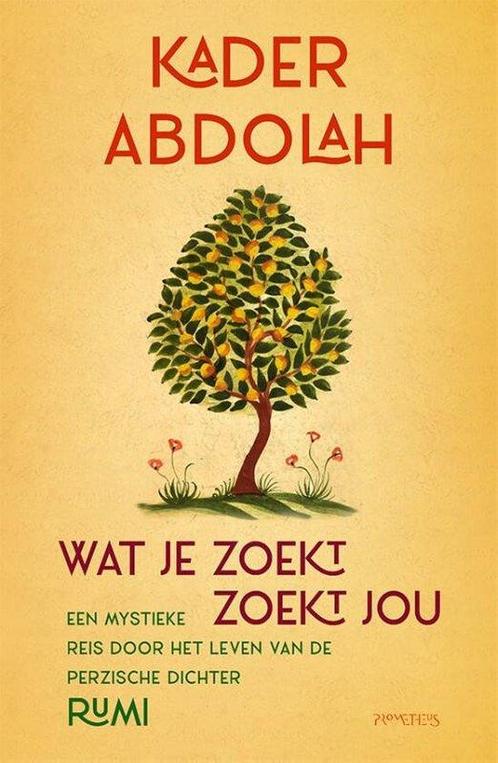 9789044651928 Wat je zoekt, zoekt jou | Tweedehands, Boeken, Romans, Zo goed als nieuw, Verzenden