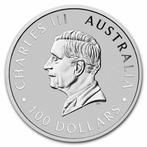 Australië. 2024 1 oz $100 AUD Australian .9995 Fine Platinum