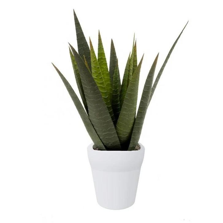Kunstplant Aloe Vera in pot 35 cm - Overige kunstplanten, Huis en Inrichting, Kamerplanten, Ophalen of Verzenden