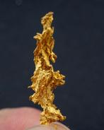 Gewelde goudklompje - Australisch Goud nugget- 1.75 g - (1), Verzamelen, Mineralen en Fossielen
