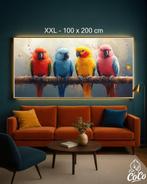 CoCo - Colorful Conversation - XXL