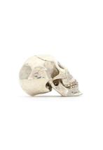 Religieus Barok / Gotisch Vanitas Schedel Dood Grand Tour, Nieuw
