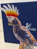 Swarovski - Figuur - Cockatoo 718565 - boxed + certificate -
