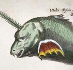 Matthäus Merian (1593-1650) - hand coloured folio: Sea, Antiek en Kunst