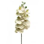 Phalaenopsis Orchidee Bora 77 cm wit kunstbloem - Nova Natur, Huis en Inrichting, Woonaccessoires | Overige, Nieuw, Verzenden