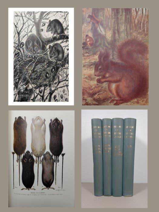 Gerald Barrett-Hamilton - A History of British Mammals (2, Antiek en Kunst, Antiek | Boeken en Bijbels
