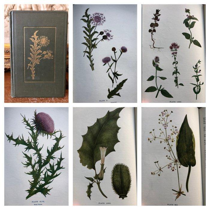 C. A. Johns - Flowers of the Field [92 coloured plates] -, Antiek en Kunst, Antiek | Boeken en Bijbels