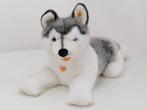Steiff Bernie Husky 104961 60 cm hoog #4577, Ophalen of Verzenden, Zo goed als nieuw, Overige typen