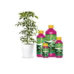 Wilma Groene plant voeding 1 liter, Tuin en Terras, Plantenvoeding, Nieuw, Verzenden