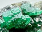 Swat Valley Emerald Kristallen op matrix - Hoogte: 21 mm -