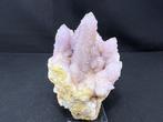 Quartz var. Amethyst en Cactus Exemplaar - Hoogte: 10 cm -