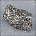 Natuurlijke meteoriet Campo Del Cielo Groot, Argentinië-