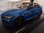 1:18 modellen om je vingers bij af te likken FANTASTISCH !!!, Hobby en Vrije tijd, Modelauto's | 1:18, Verzenden, Nieuw, Auto