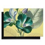 Botanical Glow – Inductie Beschermer - 83x51.5 cm, Verzenden, Nieuw