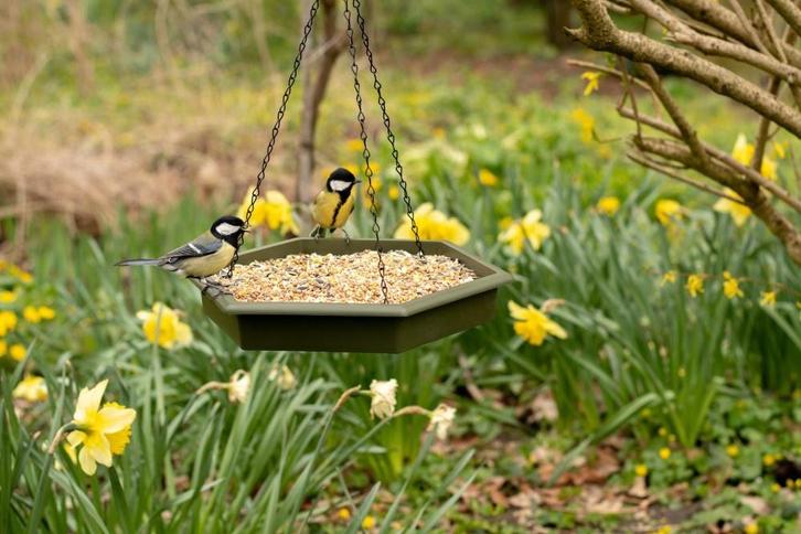 Set hangende voer- en waterbak - Badschalen    - Huis en, Dieren en Toebehoren, Vogels | Toebehoren, Nieuw, Verzenden