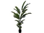 Veiling - Kunstplant Palm  260 cm, Huis en Inrichting, Woonaccessoires | Kunstplanten en Kunstbloemen, Nieuw