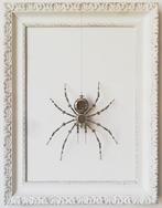 Peter Szucsy - Steampunk Spider Countess Isabella, Antiek en Kunst