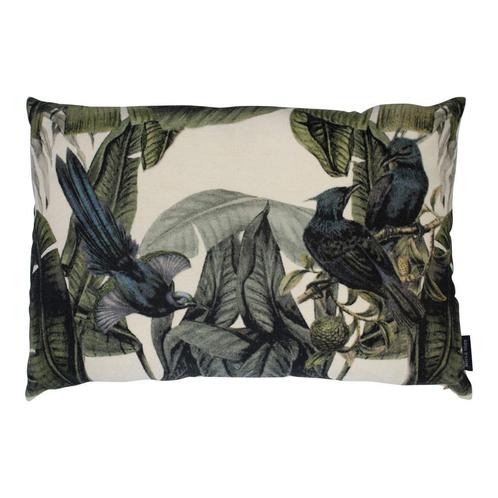 groot kussen fluweel exotische blauwe vogel 40x60cm*, Huis en Inrichting, Woonaccessoires | Overige, Verzenden