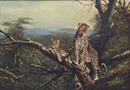Jacob de Nooijer (1935-2013) - Luipaard met jong, Antiek en Kunst