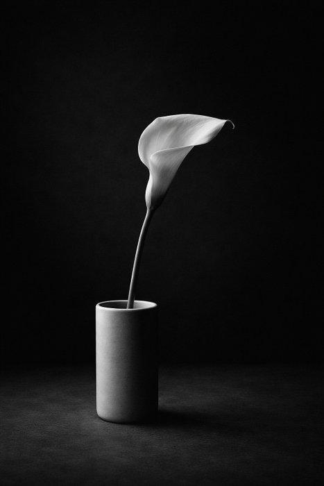 LANDLER - Silent Form, Antiek en Kunst, Kunst | Designobjecten