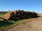 Haardhout kachelhout eiken, 6 m³ of meer, Ophalen, Eikenhout, Stammen