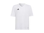 adidas - Entrada 22 Jersey Youth - Voetbalshirt Kids - 152, Sport en Fitness, Voetbal, Nieuw