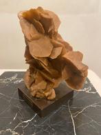 Rozen van de woestijn Rozen van de woestijn - Hoogte: 20 cm