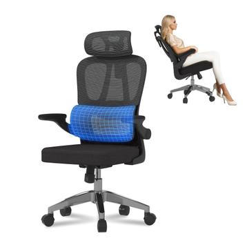 FLEXISPOT Ergonomische bureaustoel met 2D-hoofdsteun en beschikbaar voor biedingen