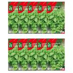 Citroenmelisse zaad | VT | 10 stuks, Verzenden