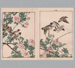 White-rumped Munias () and Chinese Roses () - From