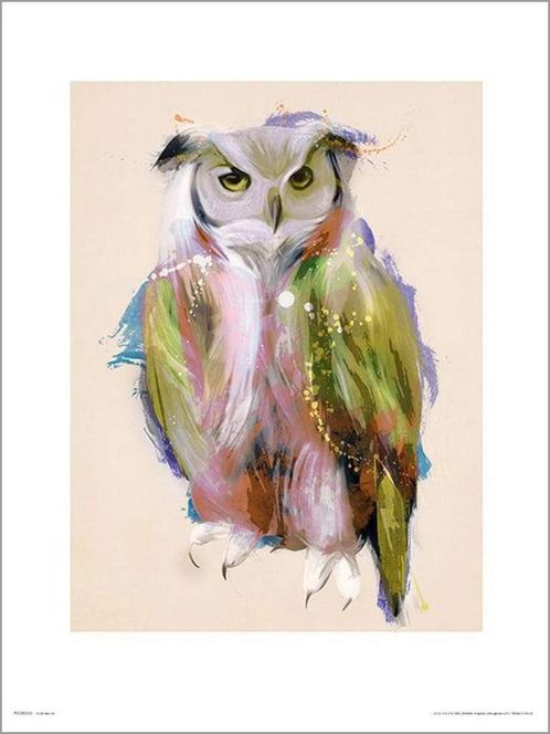 Kunstdruk Owl Paint 50x70cm, Huis en Inrichting, Woonaccessoires | Schilderijen, Tekeningen en Foto's, Nieuw, Verzenden