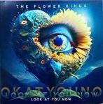 LP nieuw - The Flower Kings - Look At You Now, Cd's en Dvd's, Vinyl | Rock, Verzenden, Nieuw in verpakking