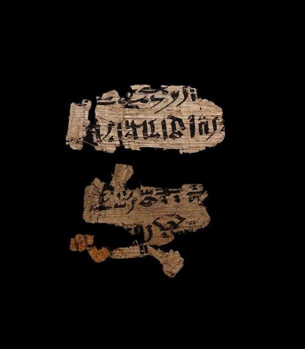 Oude Egypte, late periode Fragment van papyrus - 664 / 332, Antiek en Kunst, Antiek | Overige Antiek