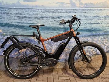 Riese Müller Superdelite GT Rohloff HS, 170-190 beschikbaar voor biedingen