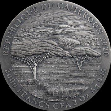Kameroen. 2000 Francs 2020 Panthera Leo Expressions of beschikbaar voor biedingen