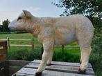 Beeld, life size and a lifelike (Texel lamb) - 43 cm -, Antiek en Kunst