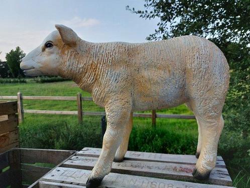 Beeld, life size and a lifelike (Texel lamb) - 43 cm -, Antiek en Kunst, Kunst | Designobjecten