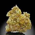 honinggeel fluorietaggregaat Kristallen op matrix - Hoogte:, Verzamelen, Mineralen en Fossielen