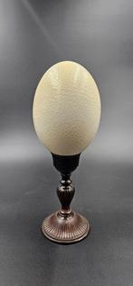Struisvogel Ei - Struthio Camelus ei Ostrich egg - 320 mm -, Nieuw